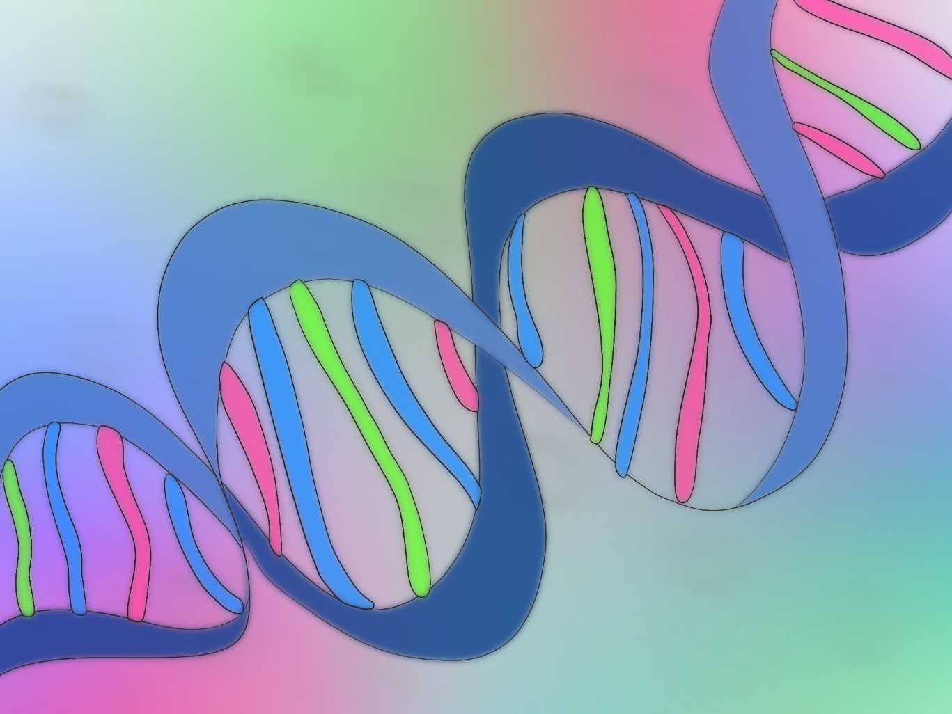 The Completion of a Human Genome: What It means for the Future of Human Science