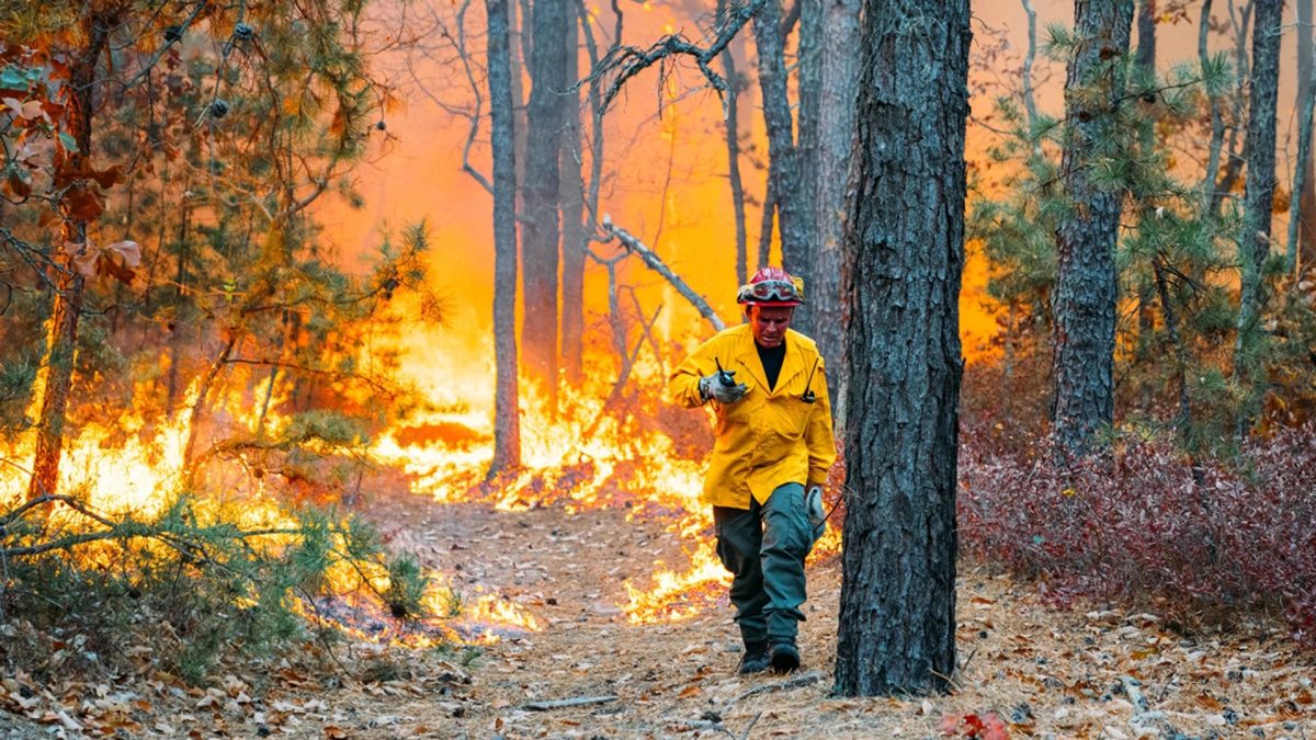 Photo from Climate Central on October 31: “The New Jersey Forest Fire Service fought a 40-acre wildfire in Evesham Township, Burlington County.”