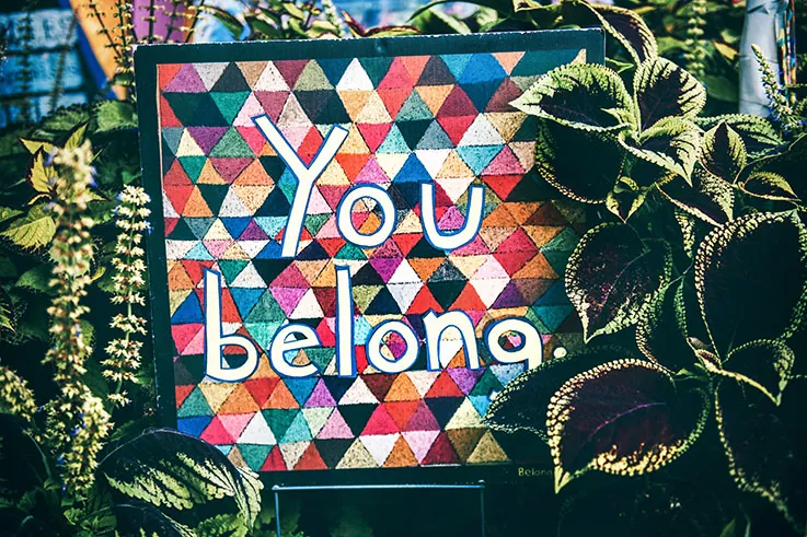 Image courtesy of the myMFS “Diversity, Equity, Inclusion and Belonging” page.
